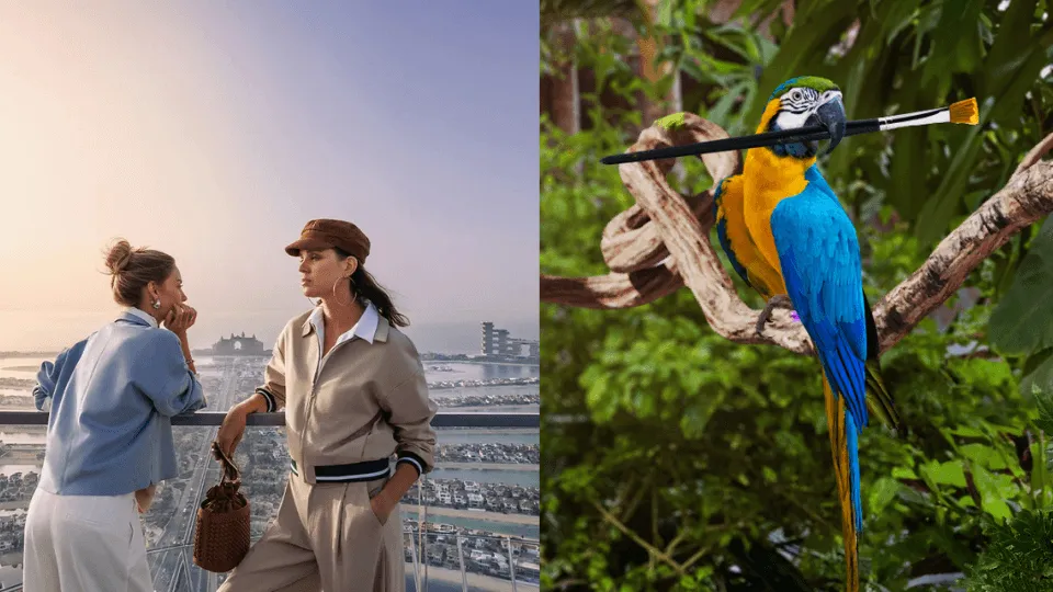 The Green Planet + The View at the Palm &#8211; Combo - Image 1